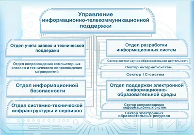 Группы поддержки года. Лучшие фото - Чемпионат