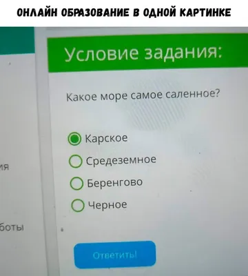 Свежие картинки поднимающие настроение - Смехотерапия - 18 июня -  43928230620 - Медиаплатформа МирТесен