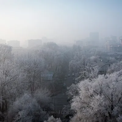 Погода в Санкт-Петербурге