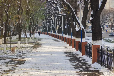 Закат дождливая погода эстетика капли на окне золотой час солнце оранжевый  sunset orange golden hour | Пейзажи, Фоновые рисунки, Закаты