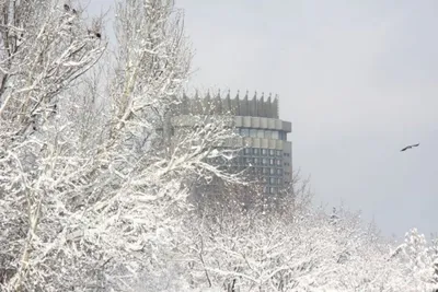 Погода в июне удивит Украину градом, шквалами и проливными дождями - МЕТА