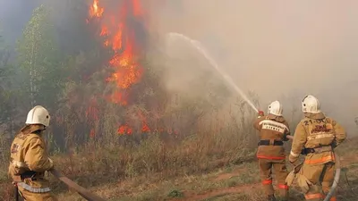 Появилось видео крупного пожара около Геленджика :: Новости :: ТВ Центр