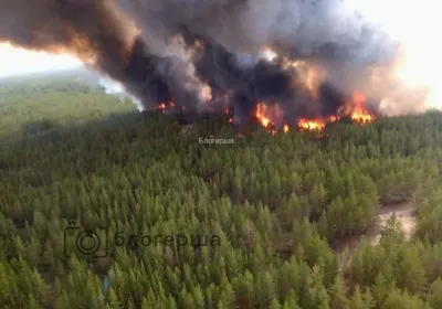 Пожарные остановили распространение лесного пожара в Абайской области |  Kazakhstan Today