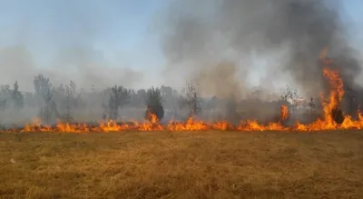 Ростовчанин погиб во время пожара | ROSTOF.RU