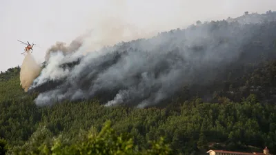 Лесные пожары в Рязанской области