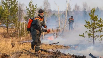 На месте пожара в Новгородском районе обнаружен погибший - Газета «Новгород»