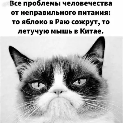 Perspéctum: Издательство и Клуб - Миллениуму сегодня 18-36 лет. Это  поколение, которое родилось в XXв., а окончили школу в новом тысячелетии.  Они выросли в более ярком мире, чем старшие поколения. Поэтому позитив