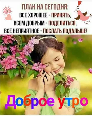 Позитив! | Счастливые картинки, Вдохновляющие фразы, Утренние сообщения