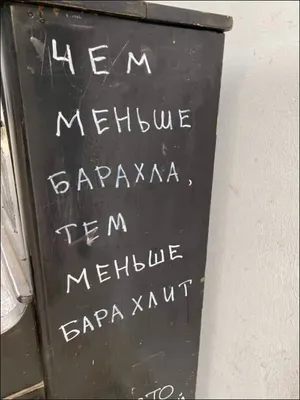 Прикол трусы, попа, шалун, р-р 54 — купить приколы по цене 356 руб (a50409)  оптом | Интернет магазин 100 Сувениров