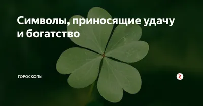 Заставки на телефон, приносящие удачу: бабочка - успех, мельница – изобилие  и деньги – Новости Салехарда и ЯНАО – Вести. Ямал. Актуальные новости Ямала