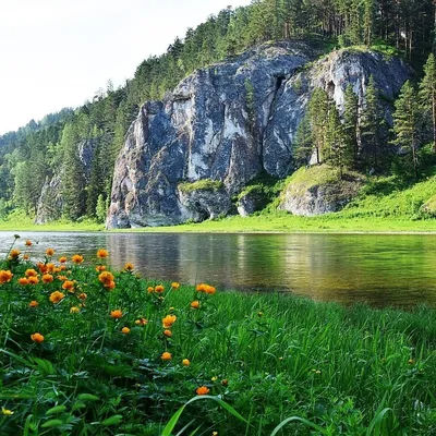 Красивые фотографии природы (25 фото)