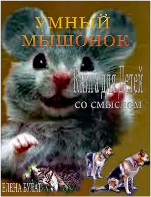 Александр и Анастасия Гайдуки: \"Дети наполняют жизнь особым смыслом\" -  Новости города Крупки и Крупского района | Сайт газеты \"Крупскі веснік\"