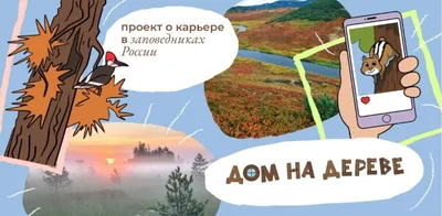 Книжки с картинками с обоснованным смыслом для детей 3-8 лет, 6 комплектов  | AliExpress