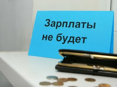 Деятельность незаконная, но долги придётся вернуть... Налоговики проверили  лиц, выдающих «быстрые деньги»