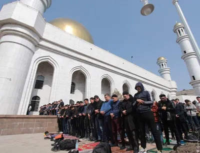 Ислам на прицеле - Париж стреляет себе в ногу