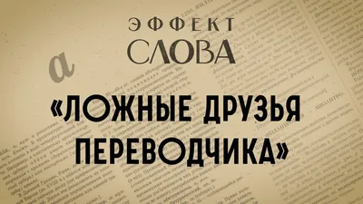 Что назначить смыслом жизни: детей, мужа, работу? | Анна Бердникова | Дзен