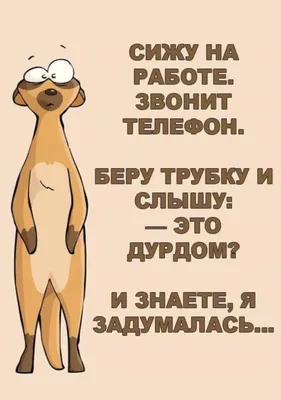 Где посмотреть весёлые картинки про оффроад? — Сообщество «Внедорожный  Позитив (off-road 4х4)» на DRIVE2