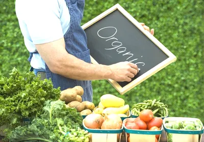 Продукты питания. Десерты и хлеб фруктов и овощей, мяса, молочных продуктов  органического естественного. Товары в супермаркете в п Иллюстрация вектора  - иллюстрации насчитывающей икона, напитка: 202389778