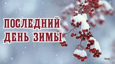 Прощай зима! Радостные открытки и веселые стихи в Последний день зимы 28  февраля | Курьер.Среда | Дзен