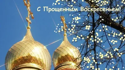 Добрые слова и теплые картинки в Прощеное воскресенье для прощения обид  другу другу 26 февраля | Курьер.Среда | Дзен