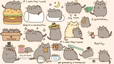 ᐉ Мягкая игрушка, Пушин кэт, Pusheen cat с чипсами, Серый (105-gv) • Купить  в Киеве, Украине • Лучшая цена в Эпицентр К