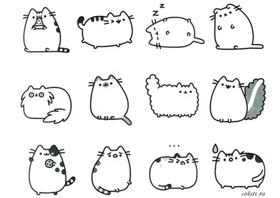 I Am Pusheen the Cat. Я-Пушин Кэт (Клэр Белтон) - купить книгу с доставкой  в интернет-магазине «Читай-город». ISBN: 978-5-69-977370-1