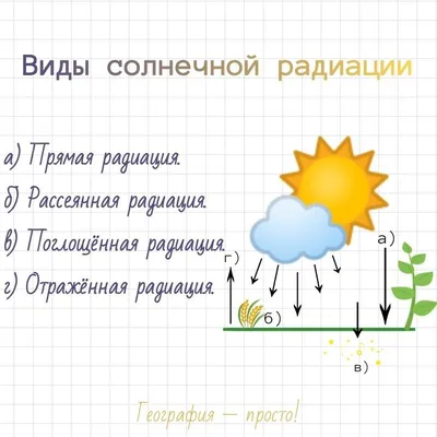 Защита от радиации с помощью голодания | spagolod.ru