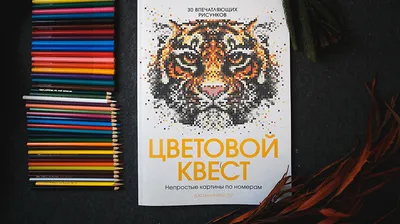 https://www.meloman.kz/coloring-books/raskraski-po-nomeram-transport.html