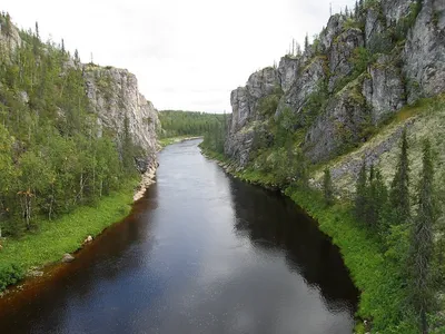 Юкон (река). Большая российская энциклопедия