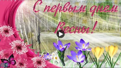 Первый день весны: поздравления, открытки и смс, Обозреватель | OBOZ.UA