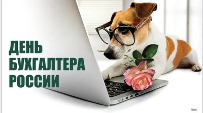 Конфеты С днем бухгалтера. Подарок на день бухгалтер (ID#1436567625), цена:  225 ₴, купить на Prom.ua