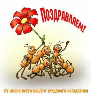 Картинки \"С Днем Рождения!\" для коллеги женщины (111 шт.)