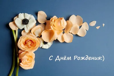 Бесплатные шаблоны открыток с днем рождения | Canva