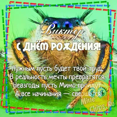 ✨✨✨Сегодня свой День рождения отмечает Лебедев Виктор Вячеславович!✨✨✨  Совет ветеранов труда и пенсионеров.. | ВКонтакте