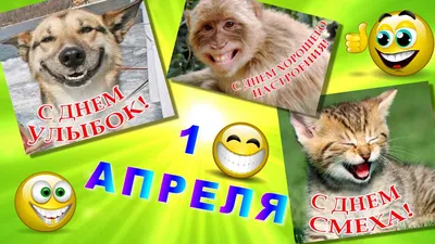 ДЕНЬ СМЕХА - 1 апреля - Праздничная анимация - Анимация - SuperGif