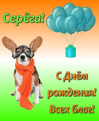 С днем рождения Серега, прикольное поздравление — Бесплатные открытки и  анимация