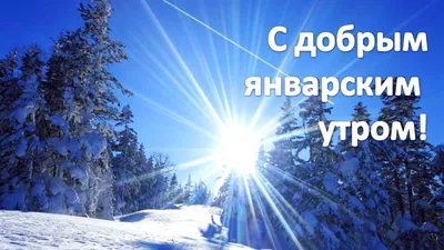 доброе январское утро картинки прикольные: 2 тыс изображений найдено в  Яндекс.Картинках | Открытки, Картинки, Поздравительные открытки