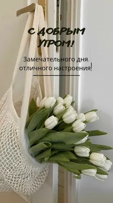 Особенная картинка с добрым утром - GreetCard.ru