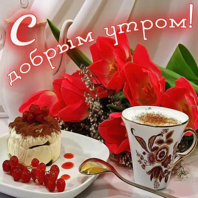 Доброе утро, девушки🌸 Хорошего дня! 😉 | Женский Северодвинск | ВКонтакте