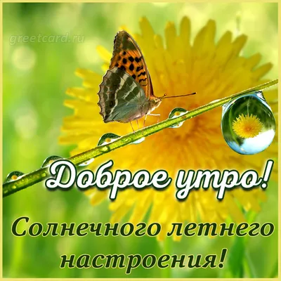 Открытка лето пришло, доброе утро