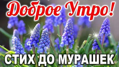 Открытка - С добрым утром . Мама и дети — покупайте на Auction.ru по  выгодной цене. Лот из - Другие страны -, Донецк. Продавец  ffmagazinbygm@gmail.com. Лот 125847879118133