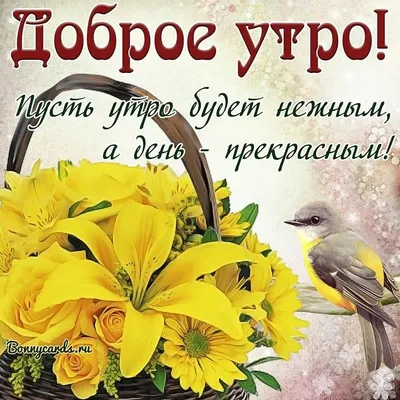 Шуточная картинка с добрым утром - GreetCard.ru