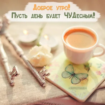 С добрым утром!#видеооткрытка #открыткасдобрымутром#открытка #рекоменд... |  TikTok