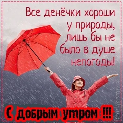 Лучшие идеи (220) доски «Дождливое утро» | дождливое утро, доброе утро,  открытки