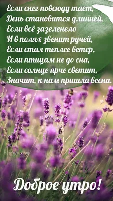 С добрым весенним утром! Картинки о весне. | Доброе утро, Весна, Утренние  цитаты