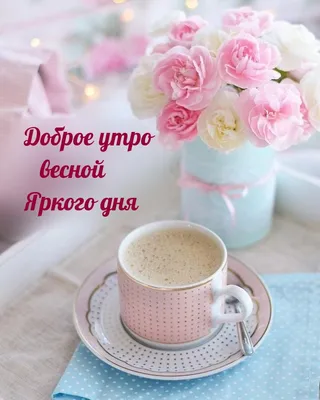 С добрым утром 🌞🌼🌺🌹 | TikTok