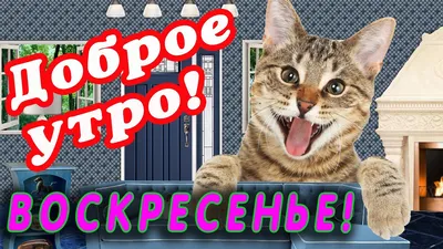 Доброе утро! Воскресенье . | Воскресенье, Утро воскресенья, Доброе утро