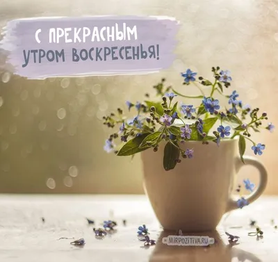 Открытка с воскресеньем, хорошего отдыха - GreetCard.ru