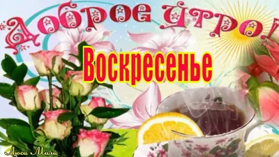 Картинки доброе утро воскресенье позитивные с цветами и пожеланиями (61  фото) » Картинки и статусы про окружающий мир вокруг