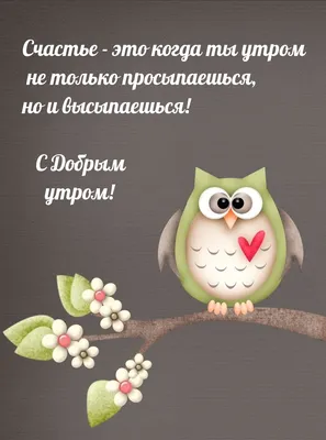 С добрым утром, \"Птички\"! — обсуждение в группе \"Разговоры обо всем\" |  Птичка.ру